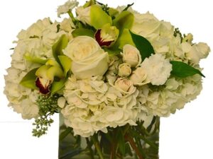 Chic Blanc