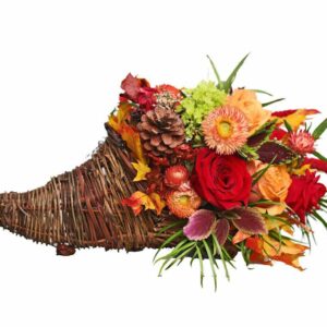 Thanksgiving Cornucopia - Medium