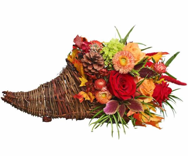 Thanksgiving Cornucopia – Medium