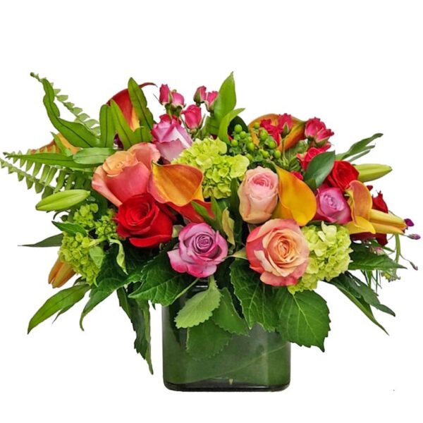 Vibrant Autumn Jardin
