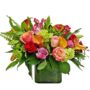 Vibrant Autumn Jardin
